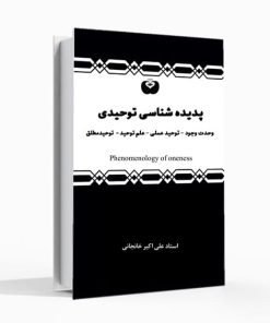 پدیده شناسی توحیدی